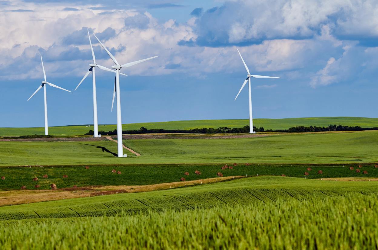 Picture of windmills in green fields
