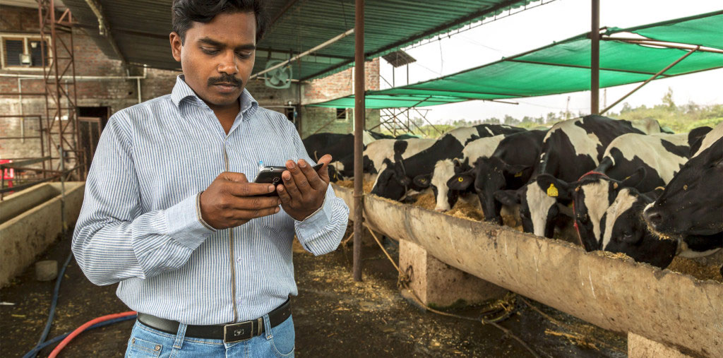 dairy farmer in rural India using phone
